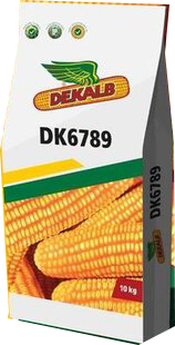 DK 6789 Hybrid Corn Seed