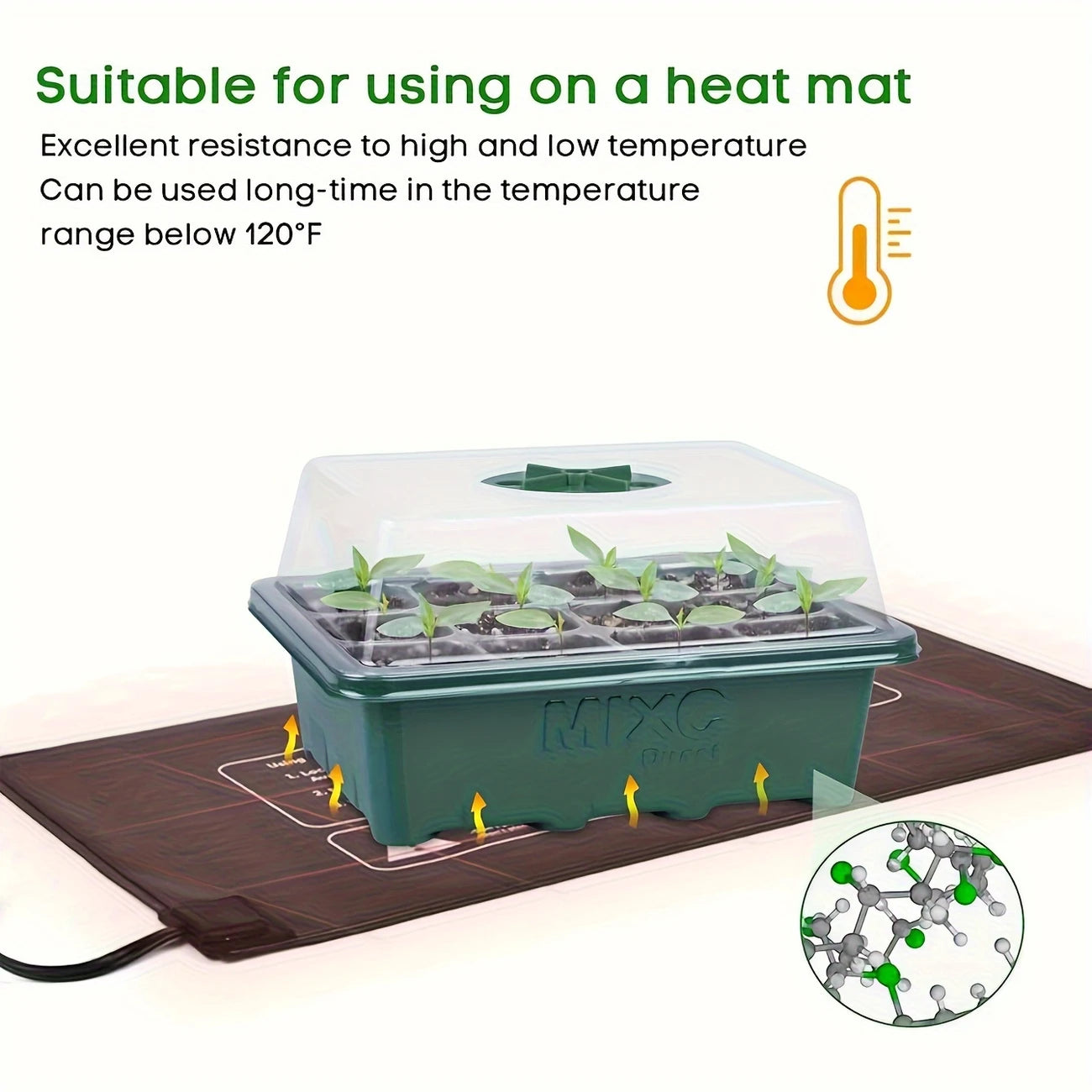 Versatile Green Seedling Starter Kit