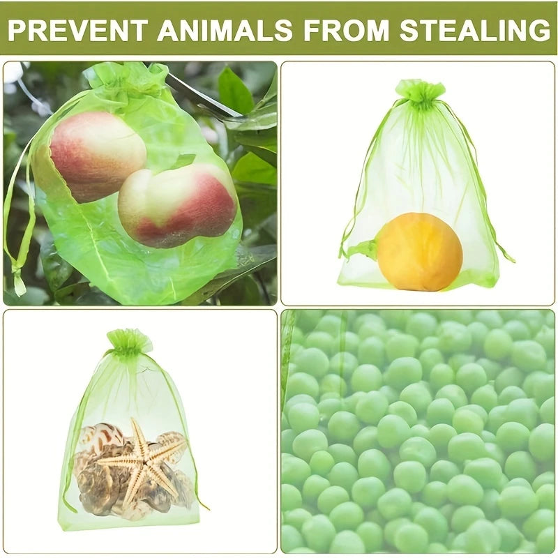 Fruit Protection Pouches