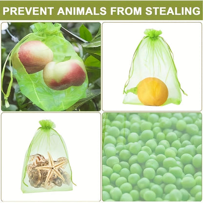 Fruit Protection Pouches