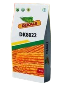 DK 8022 Hybrid Corn Seed