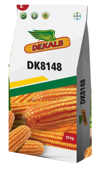 DK 8148 ہائبرڈ مکئی کا بیج