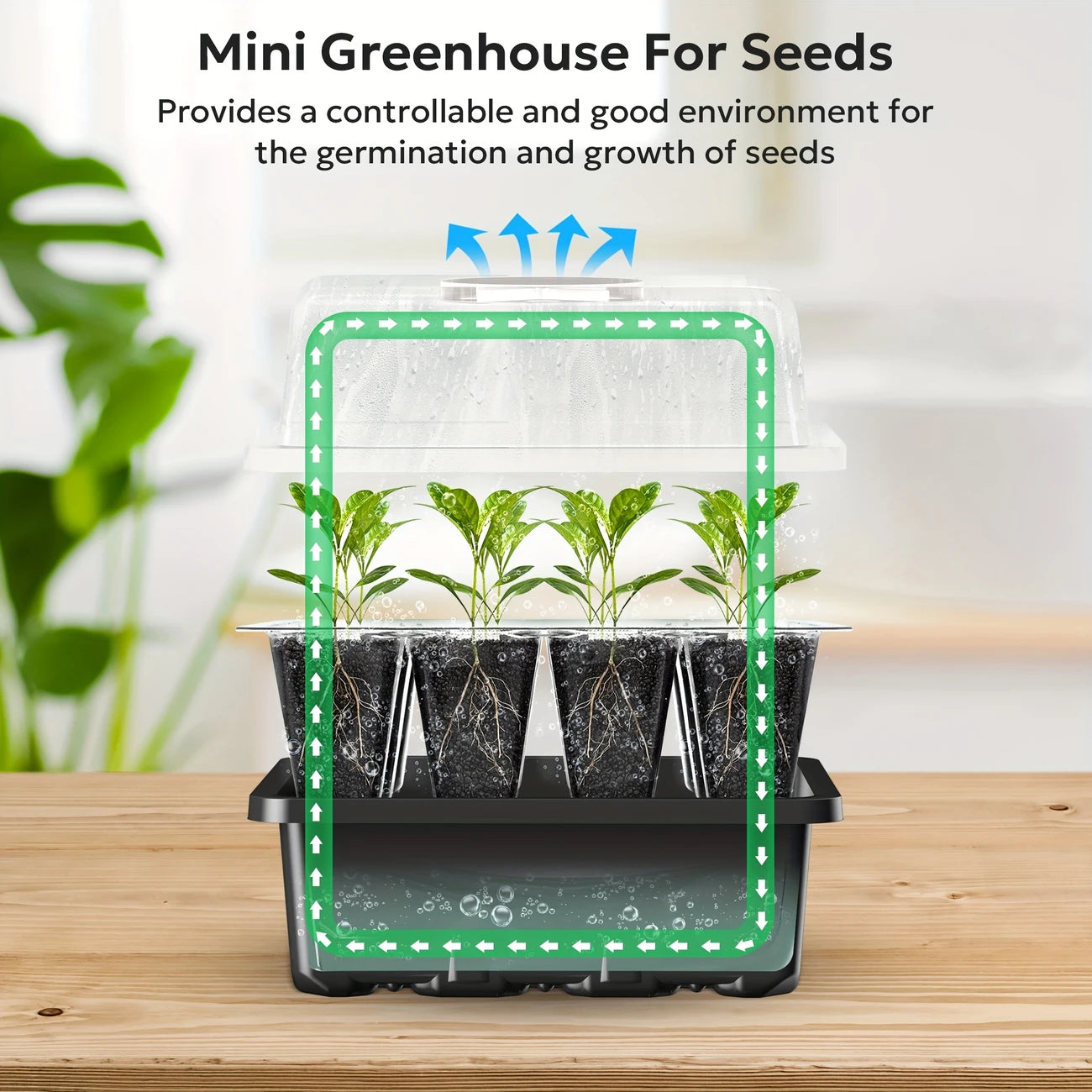 Versatile Black Seedling Starter Kit