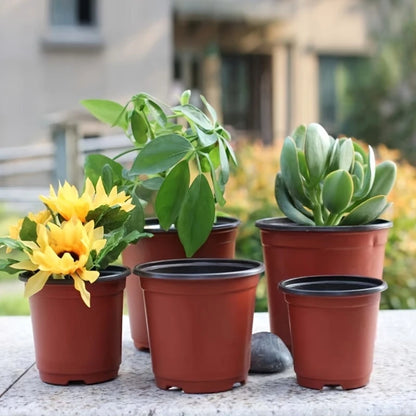 Reusable Seedling Pots - 10 pcs