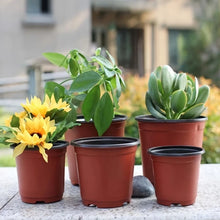 Seedling Pots