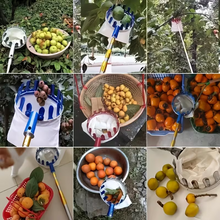 Fruit Picker Tool Pakistan