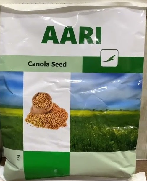 AARI Canola