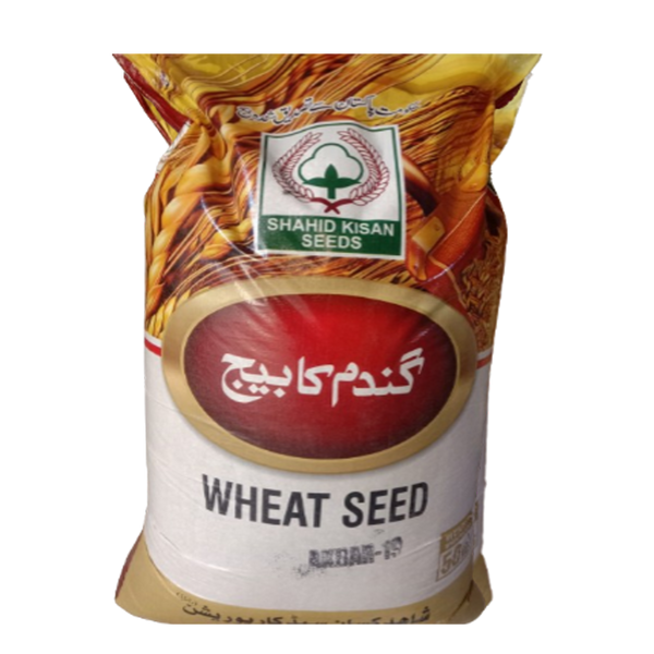 Akbar - Wheat Seed 50 KG