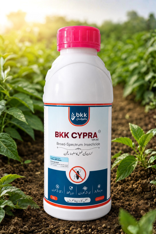 BKK Cypra