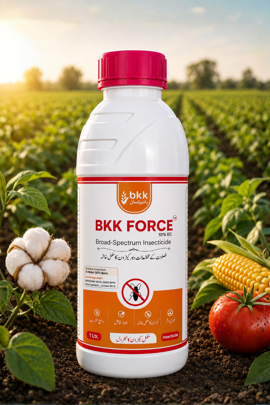 BKK Force