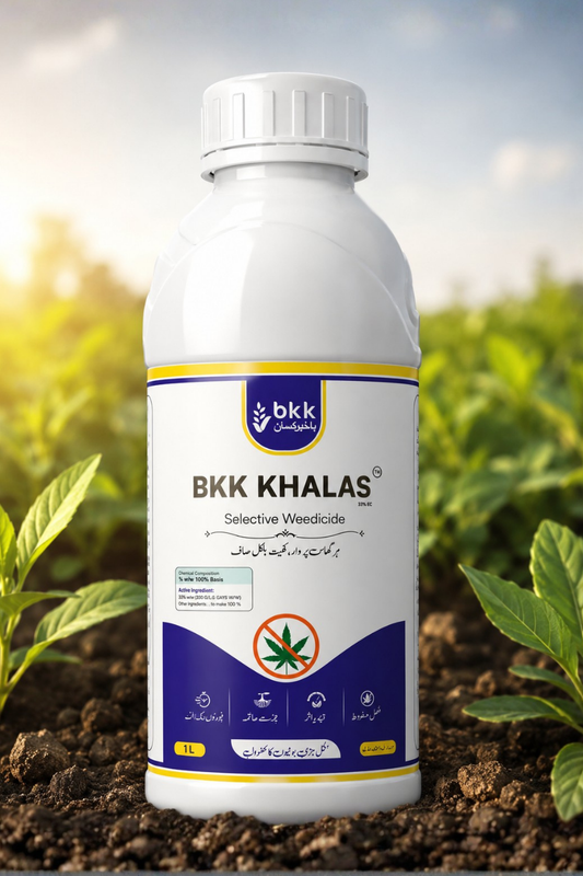 BKK Khalas