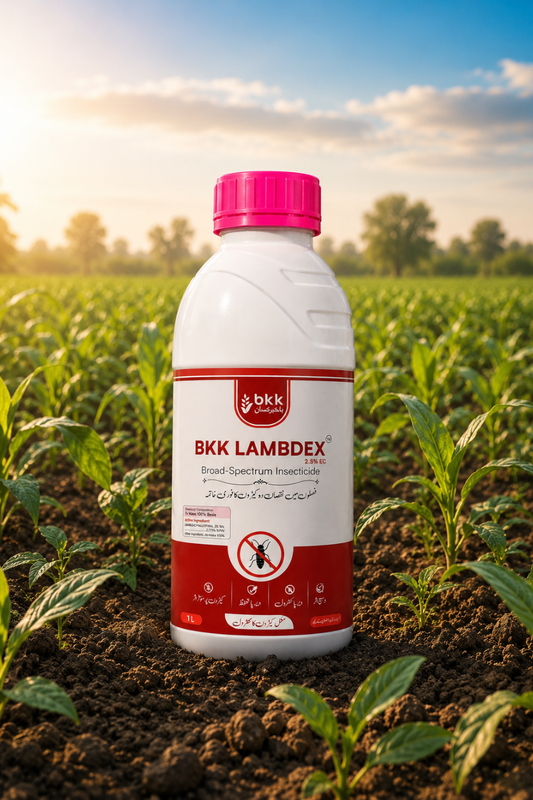 BKK Lambdex