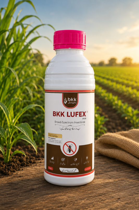 BKK Lufex