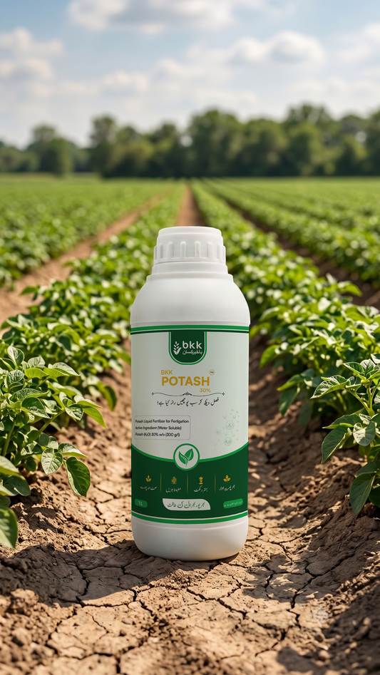 BKK Potash 30%