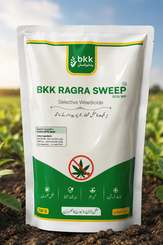 BKK Ragra Sweep
