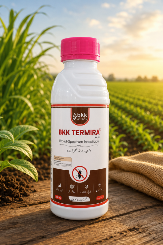 BKK Termira