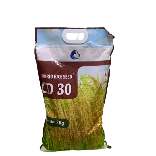 CD 30