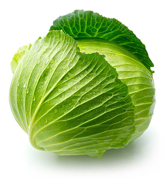 Cabbage F1 Hybrid Seeds
