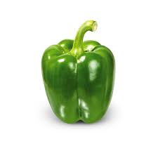 Green Capsicum Imported F1 Hybrid Seeds