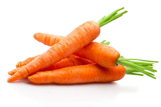 Carrot F1 hybrid seeds