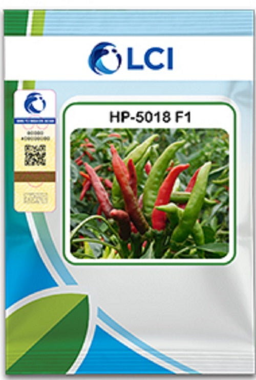 Chili Advanta 5018 F1 Bakhabar Kissan