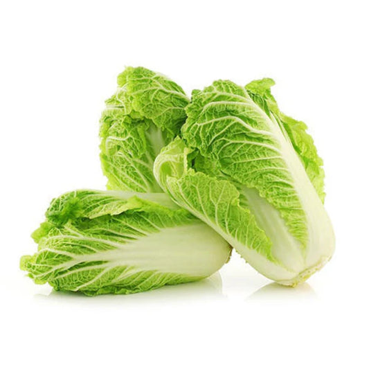 Chinese Cabbage F1 Hybrid Seeds