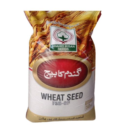 FSB 08- Wheat Seed 50 KG(Sargodha)