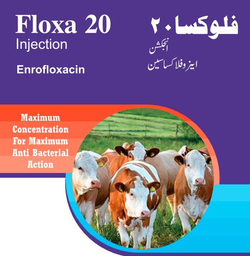 Floxa 20 (انجیکشن)