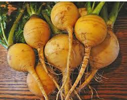 Golden Turnip F1 Hybrid Seeds
