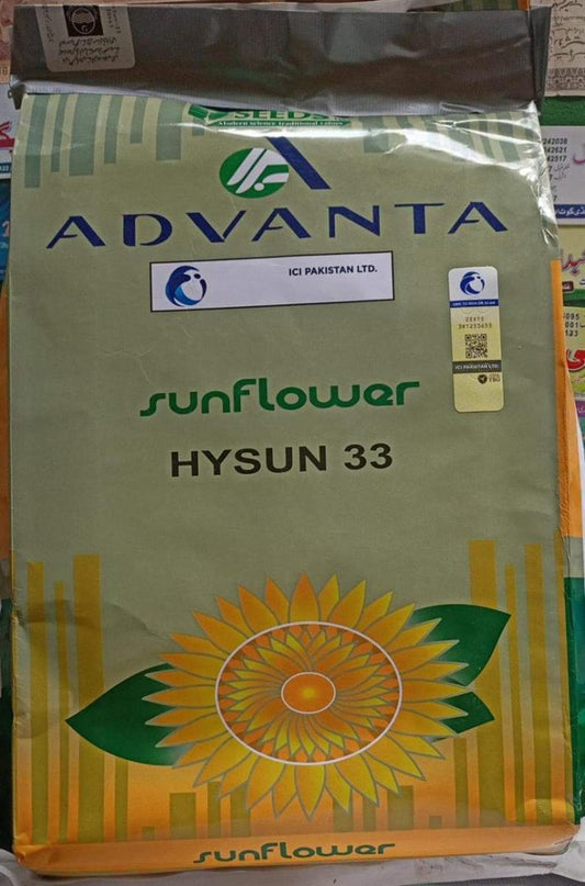 Hysun 33