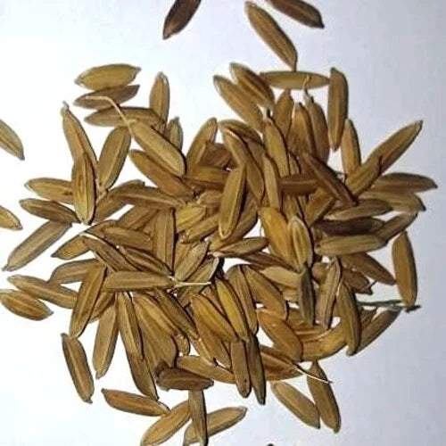 Niab IRRI-9 (Rice)