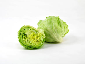 Iceberg Lettuce F1 hybrid seeds