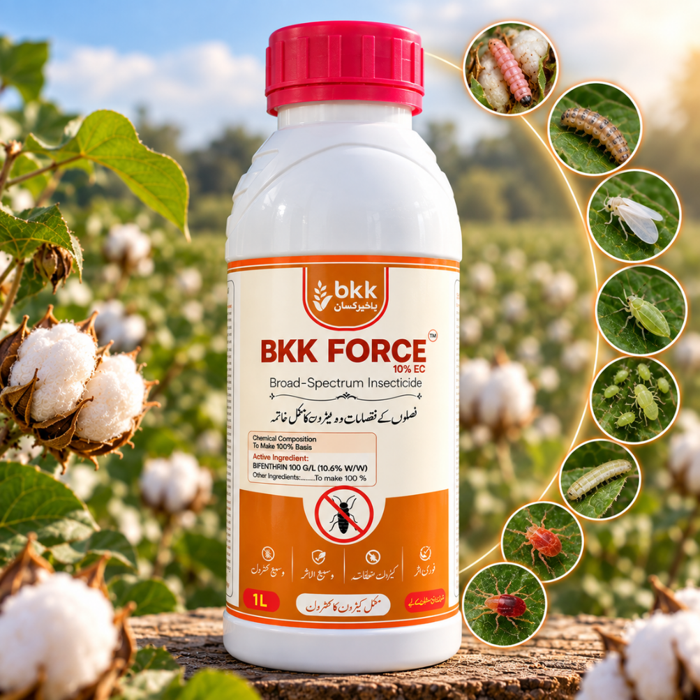 BKK Force