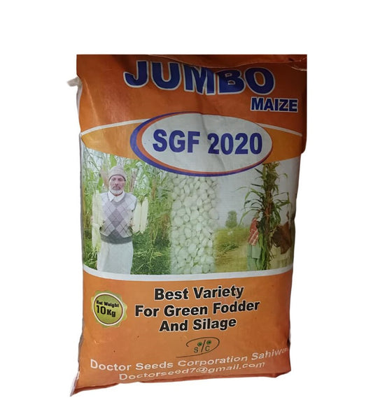 Jumbo SGF 2020