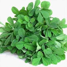 Methi F1 Hybrid Seeds