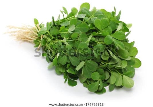 Methi F1 Hybrid Seeds
