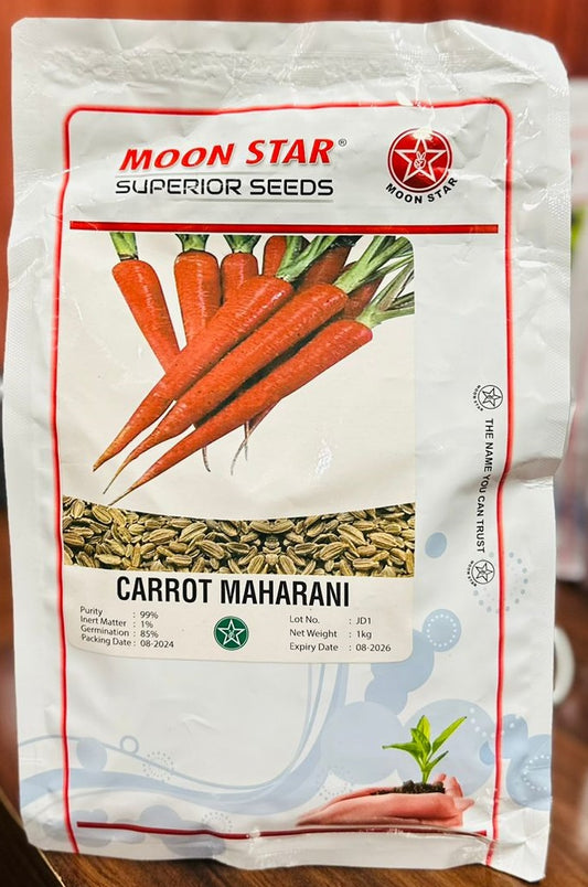 Carrot Maharani