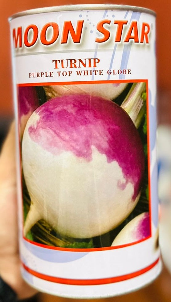 Turnip Purple Top White Globe