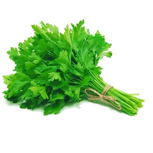 Parsely F1 Hybrid Seeds