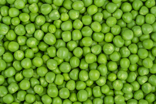 Peas F1 Hybrid Seeds