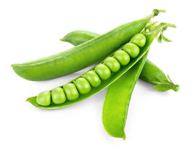 Peas F1 hybrid seeds