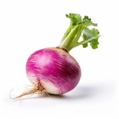 Purple Turnip F1 Hybrid Seeds