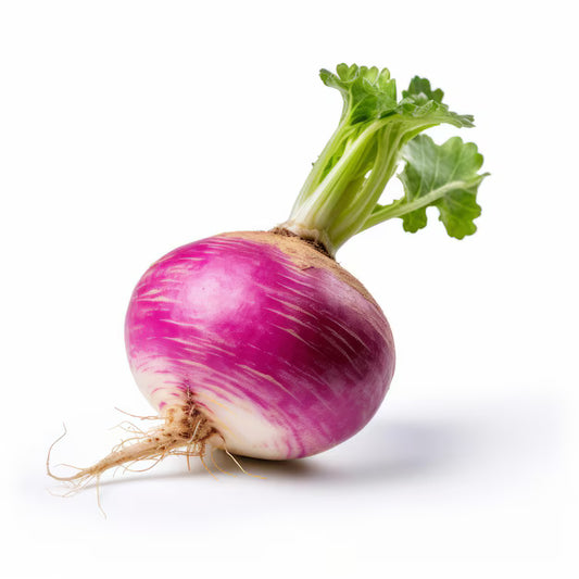 Purple Turnip F1 Hybrid Seeds