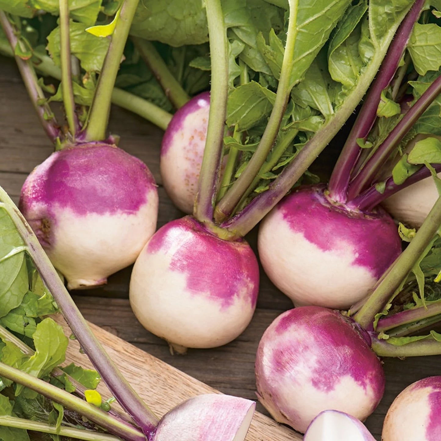 Purple Turnip F1 Hybrid Seeds