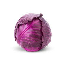 Red Cabbge F1 hybrid seeds