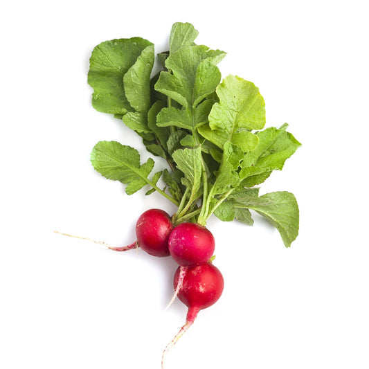 Red Radish F1 Hybrid Seeds