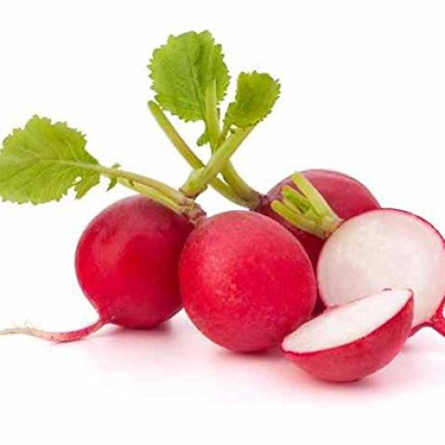 Red Radish F1 Hybrid Seeds