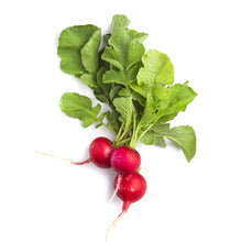 RedRadish F1 hybrid seeds