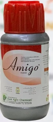 Amigo 1.9ec