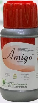 Amigo 1.9ec